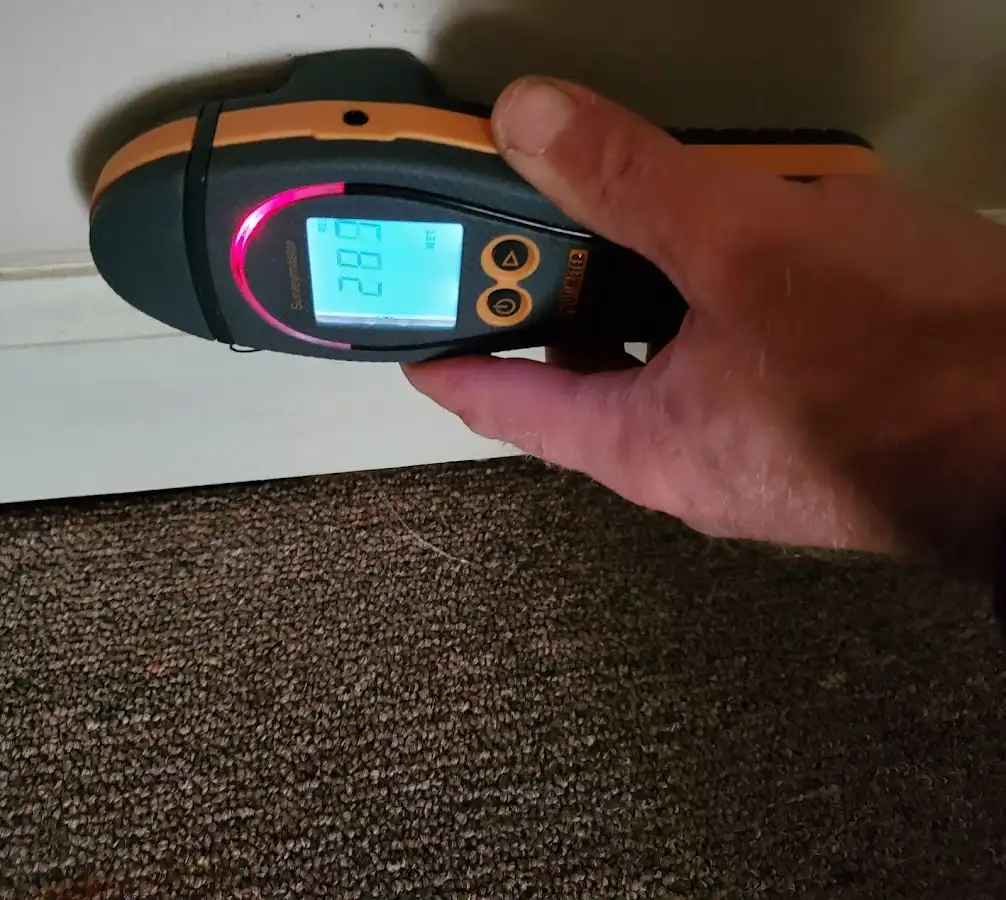 Moisture detection at baseboard during Sewage Cleanup & Sanitation in Lexington